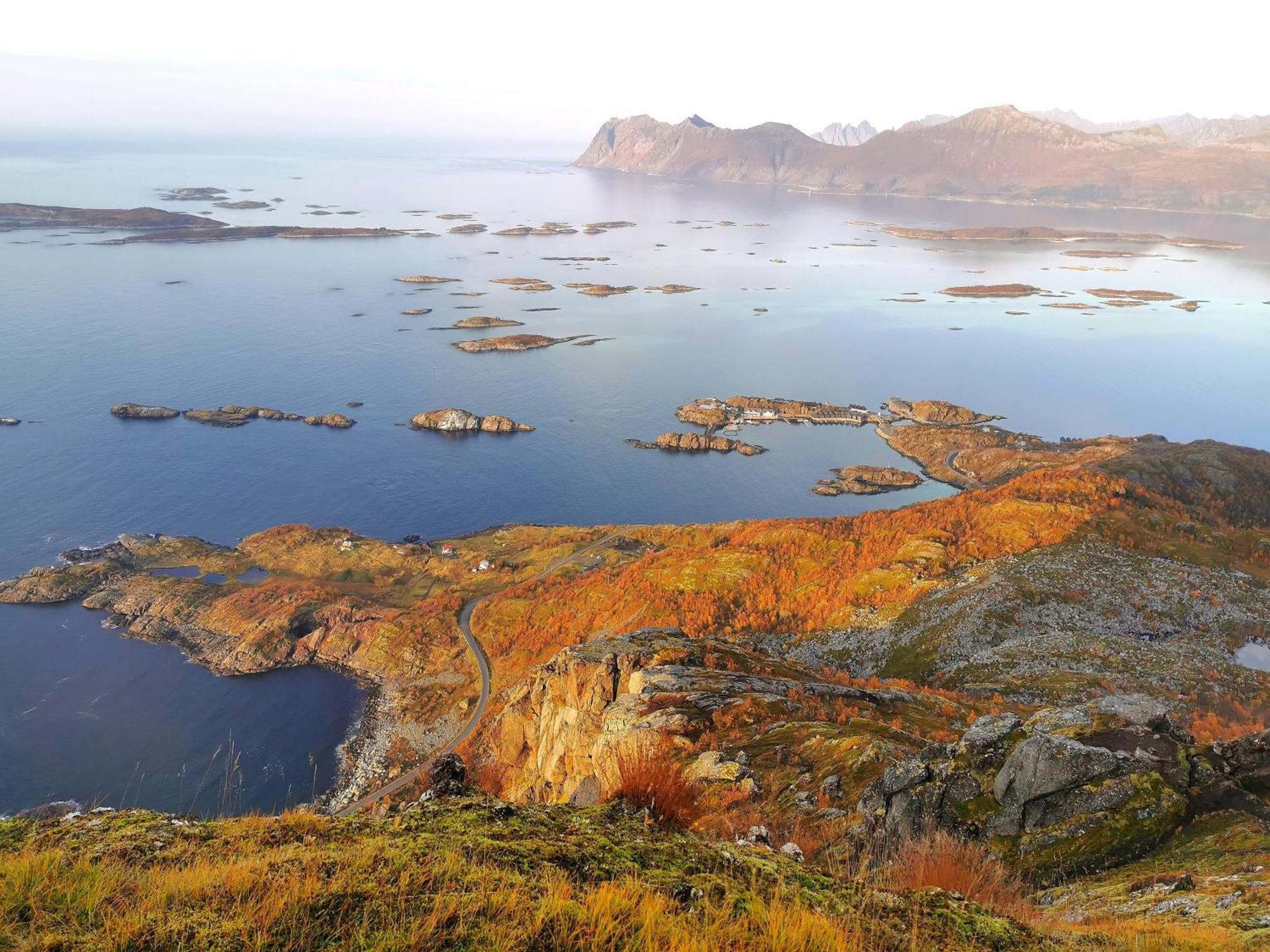 Ferrytale, Cozy, Spacious House On Senja Gryllefjord Exterior photo